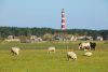 Ameland