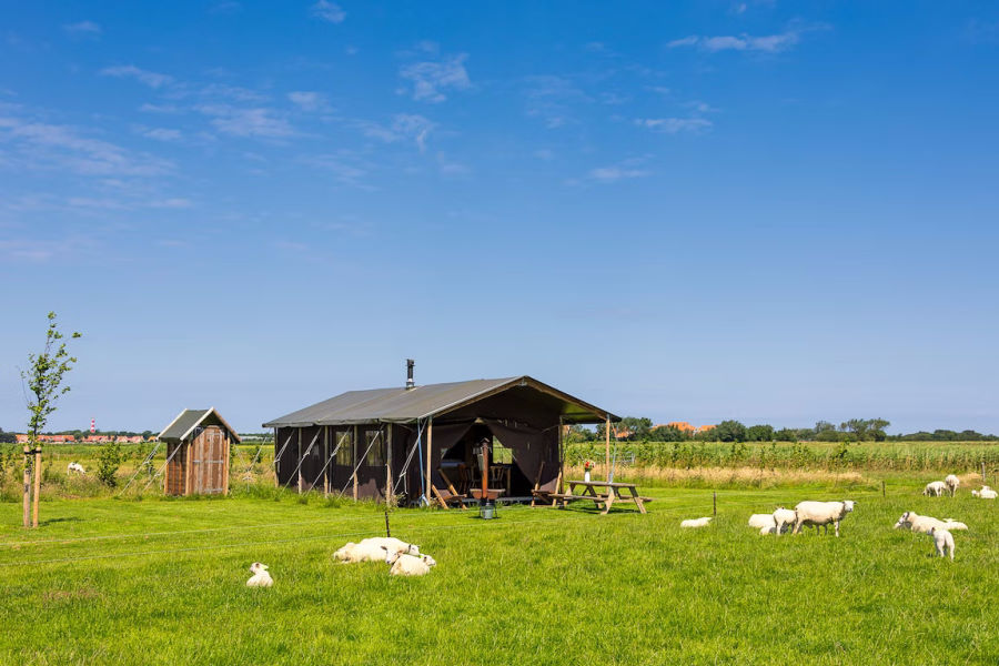 Boerderij Ameland | Wadly.nl