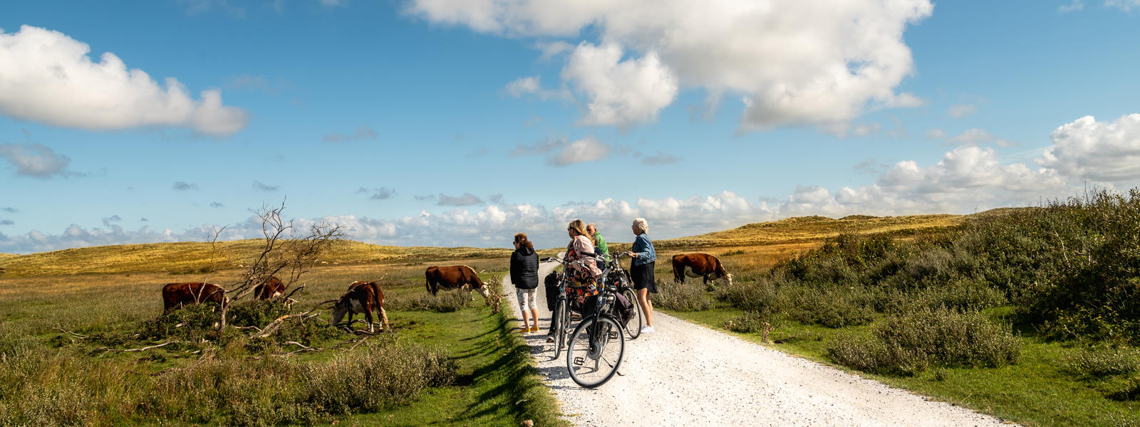 Fietsen op Terschelling | Wadly
