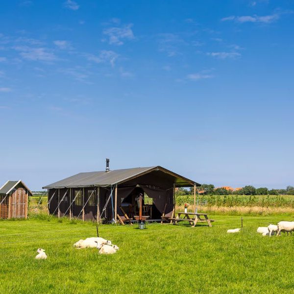 Boerderij Ameland 6