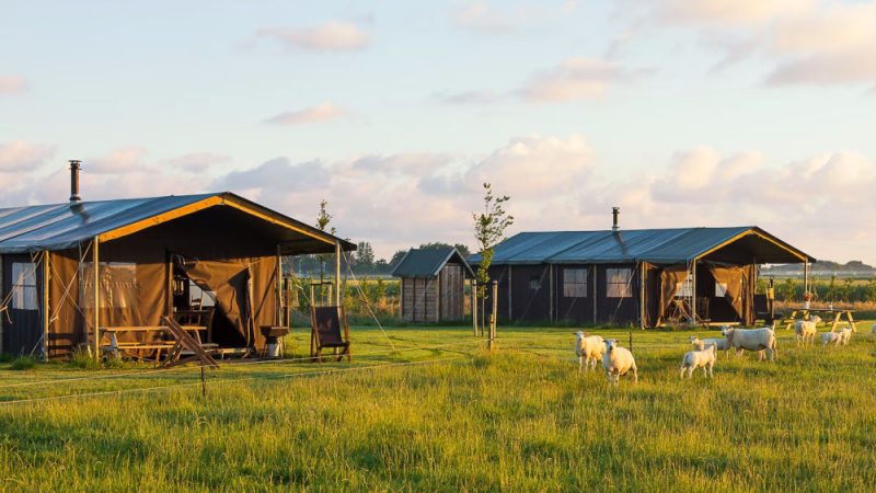 Boerderij Ameland
