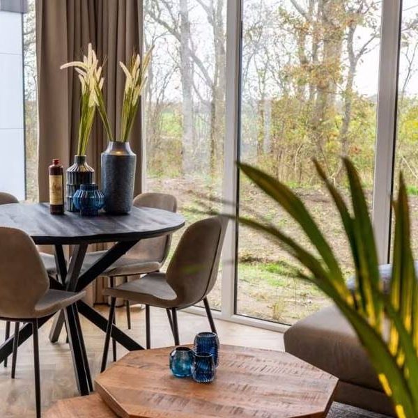 Chalet Pavilion 4 Texel 2