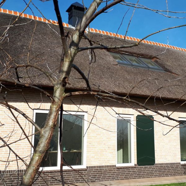 Duinrand Vakantiehuizen - de Conifeer 1