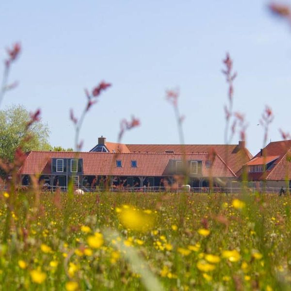Hotel De Walvisvaarder 7
