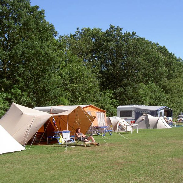 Kampeerterrein Woud 1