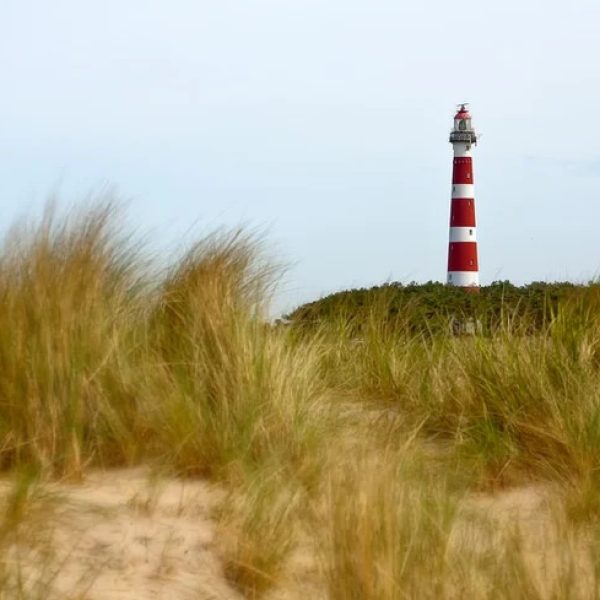 Natuurhuisje 35435 2