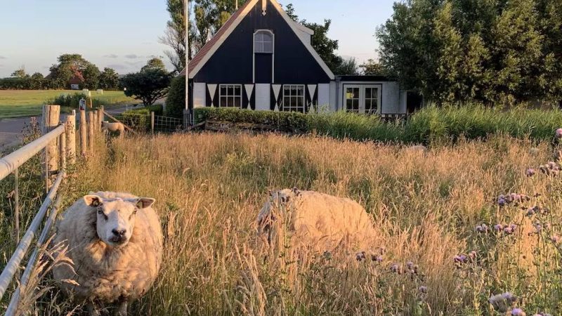 ‘t Kaaps Huussie Texel